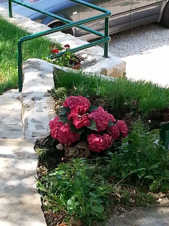 Dreams Apartment Makarska Ngoại thất bức ảnh