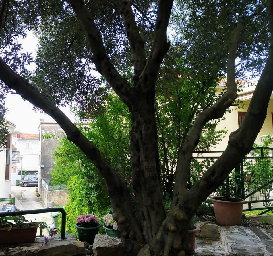 Dreams Apartment Makarska Ngoại thất bức ảnh